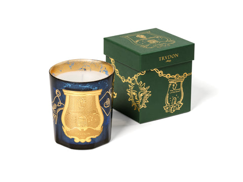 Fir - Christmas 2022